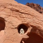 Hiking in Valley of Fire