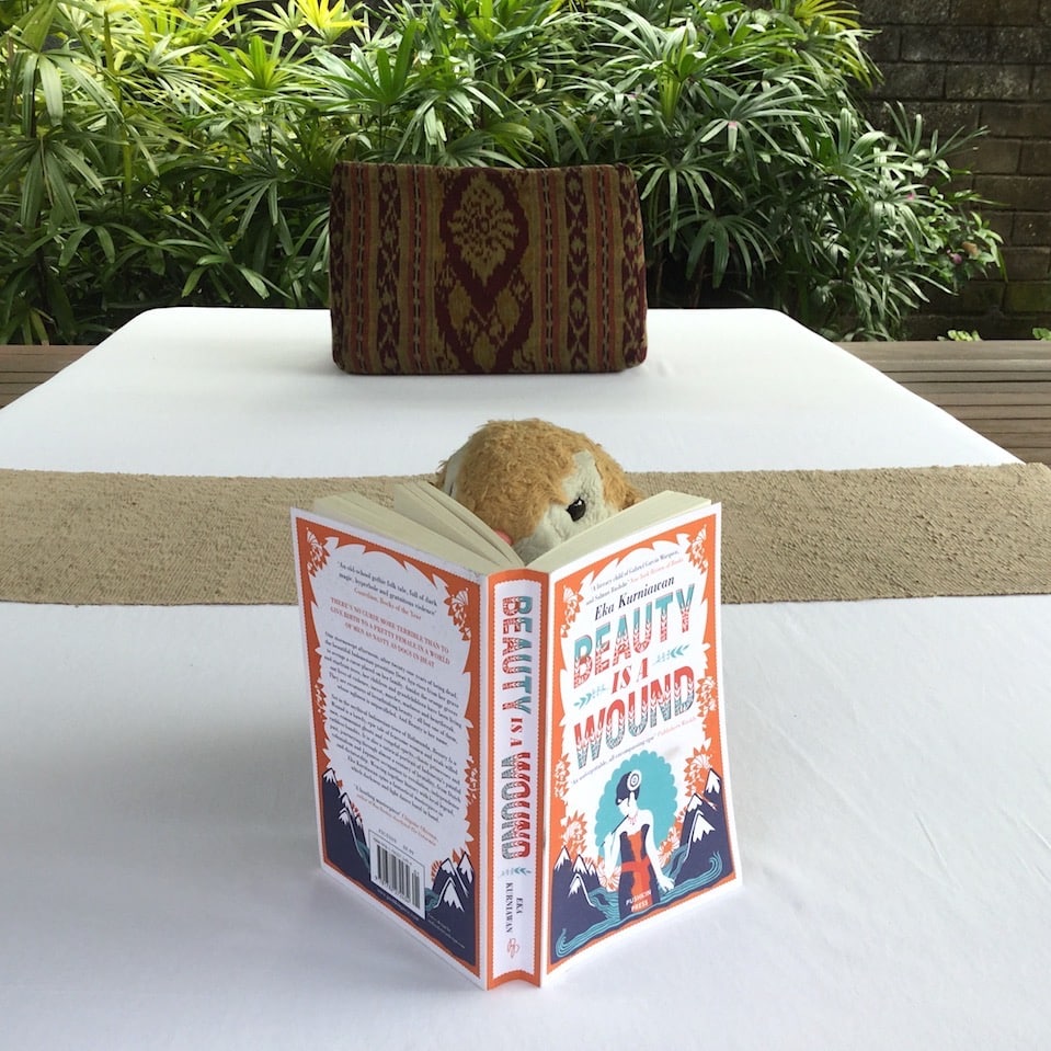 Book tip Excellent Indonesian novel