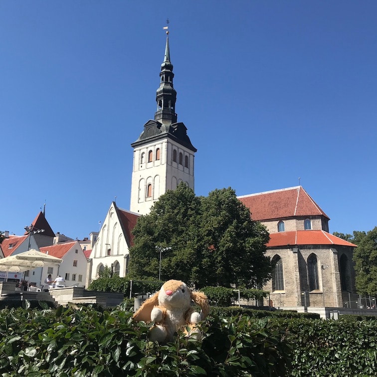 Bunny in Tallinn Bunny posing in Tallinn