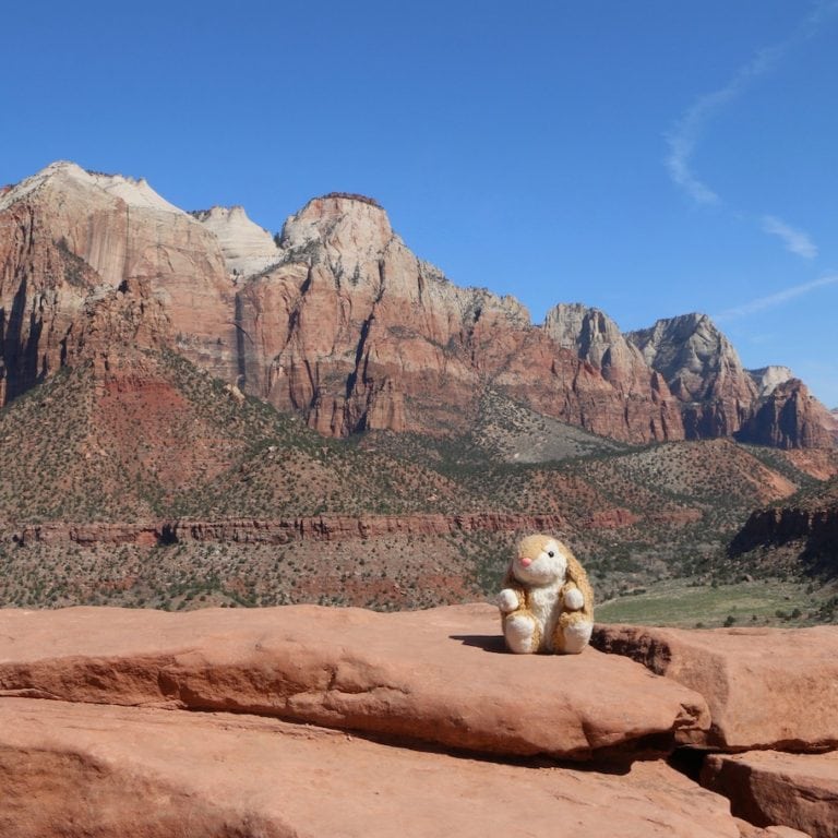 Zion Rabbit Bunny Does Zion National Park’s Easy Hikes | Hopping Around the Globe ...