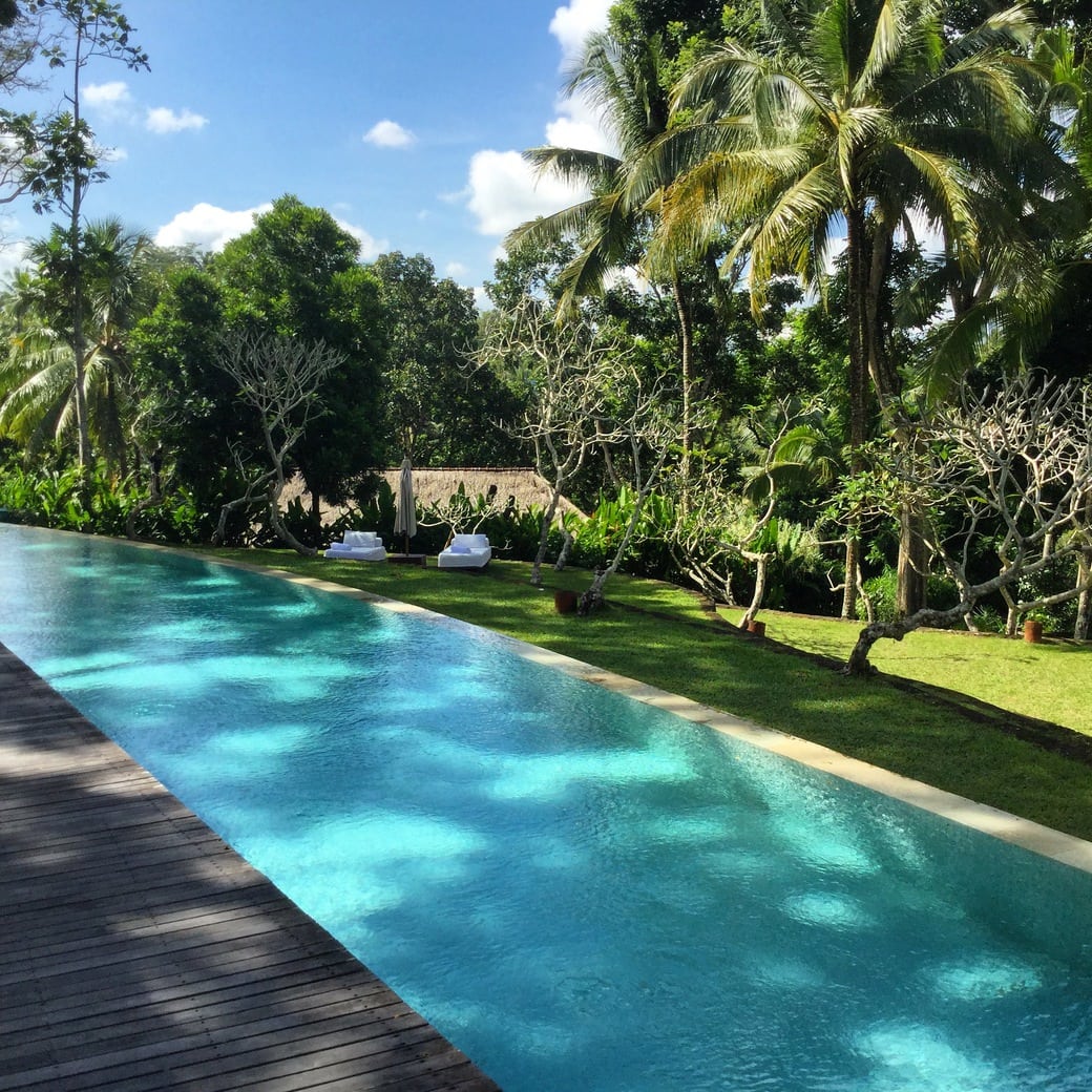 Common pool Common pool at Como Shambhala Estate