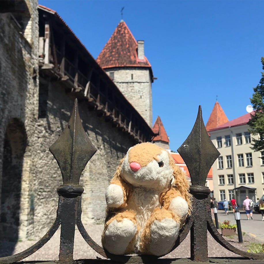 Hopping around Bunny exploring Tallinn