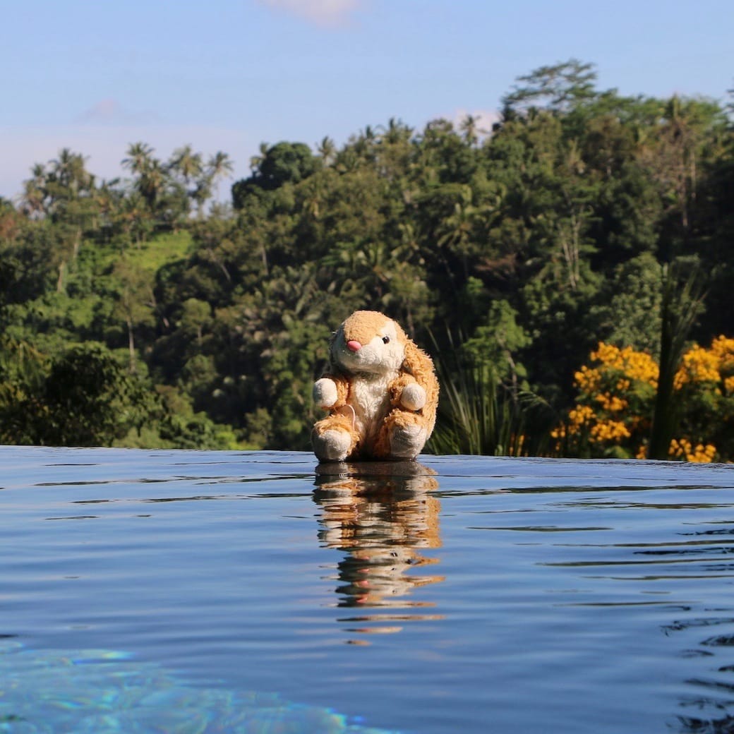 Infinity pool Bunny enjoying Bali