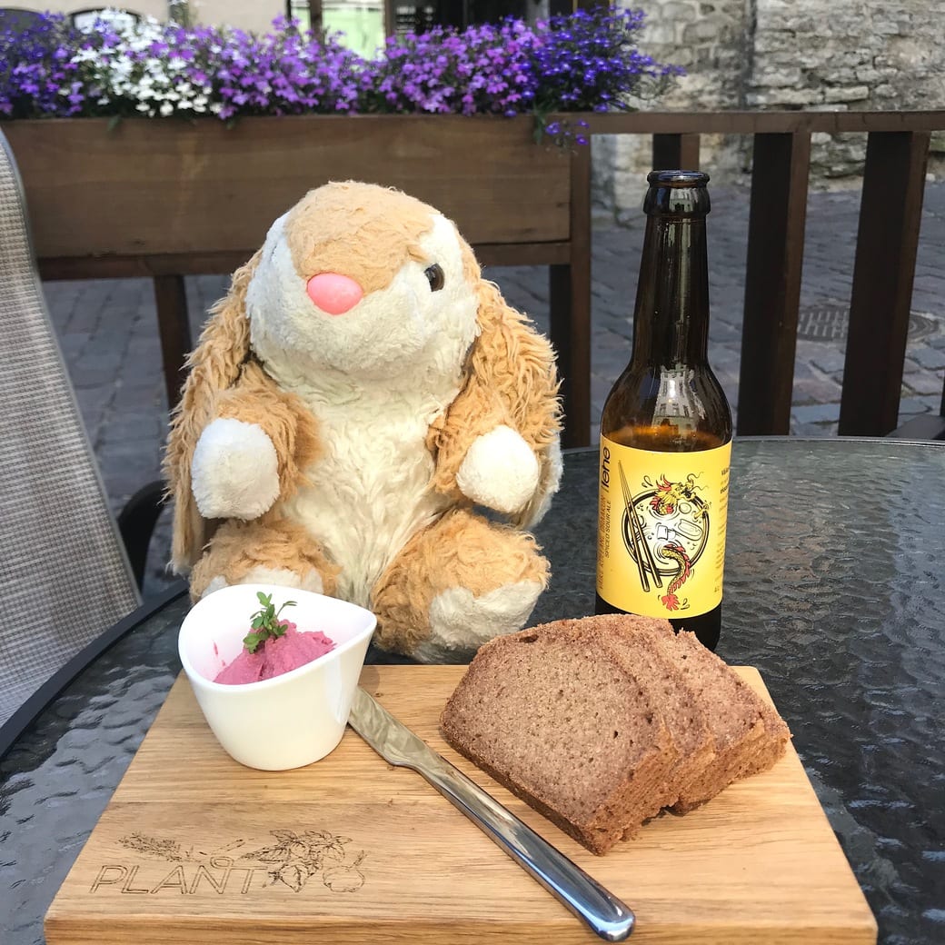 Local beer Bunny trying out local craft beer