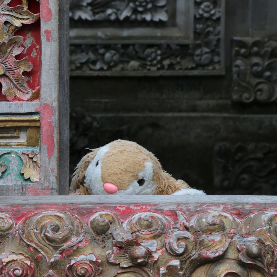 Peekaboo Bunny exploring Ubud