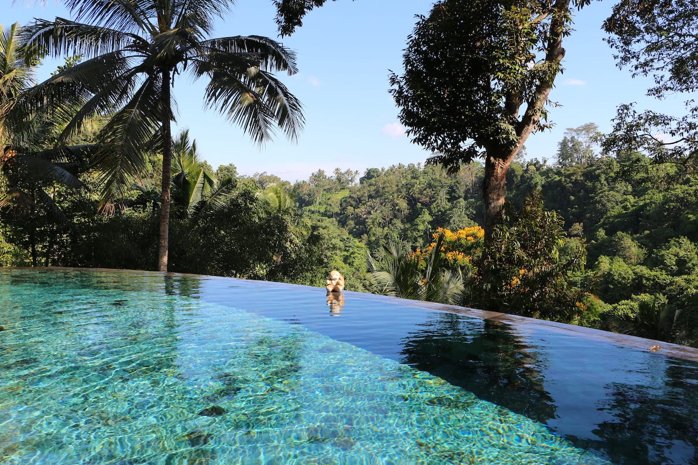 Poolside bliss Enjoying the pool at Como Shambhala Estate