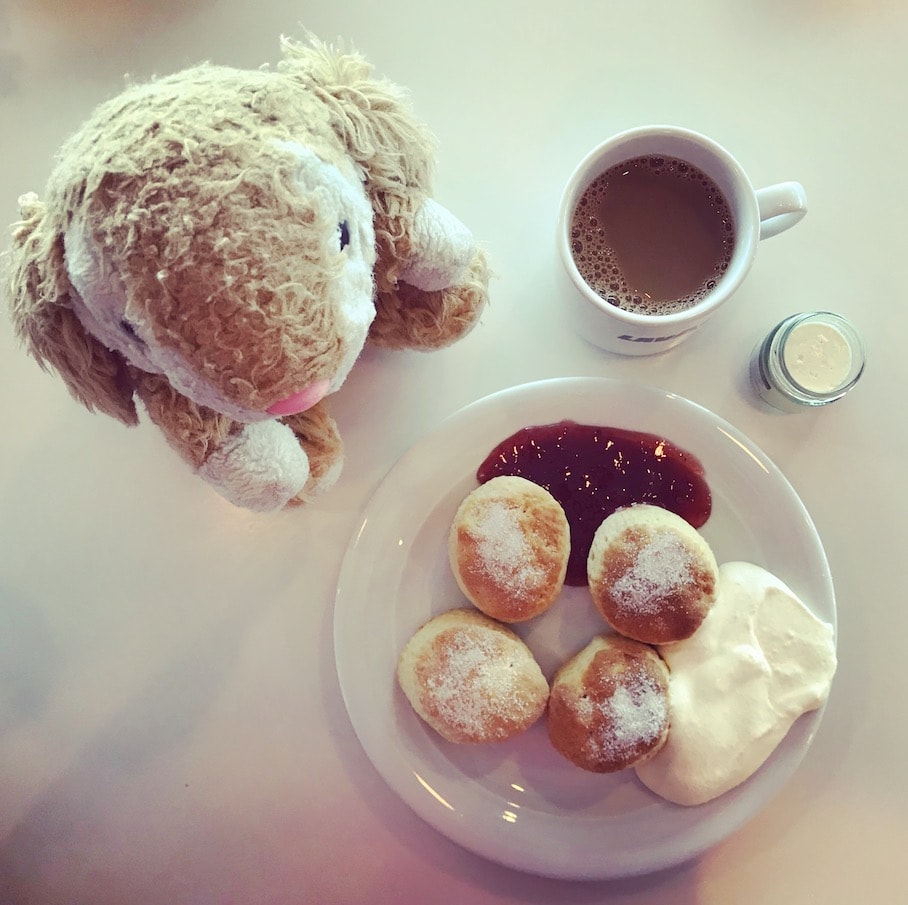 Afternoon tea Scones with clotted cream!!