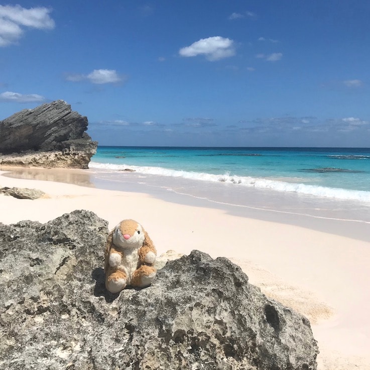 Beach time Bunny'S favourite beach on the trip