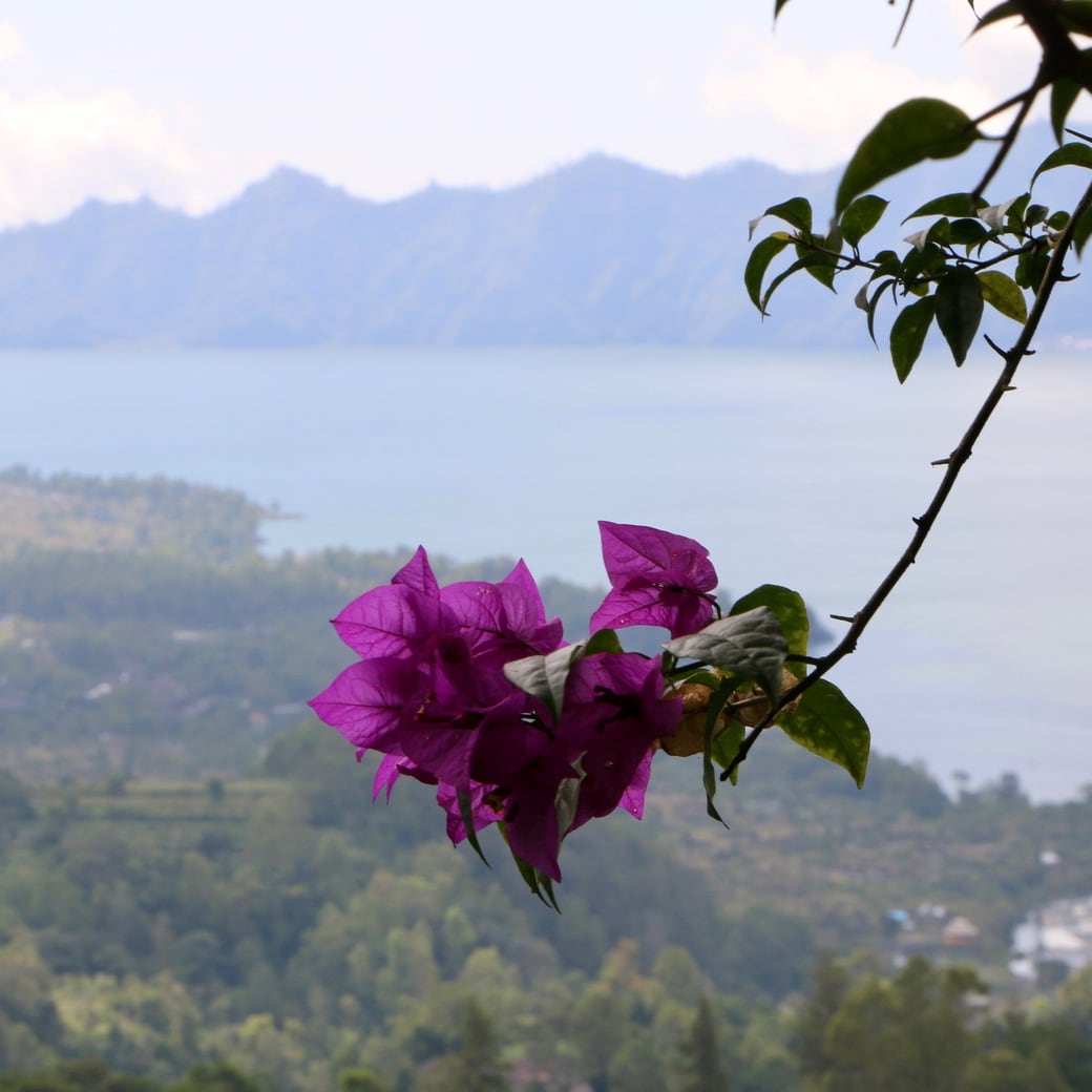 Lake Batur Crater lake Batur in Bali