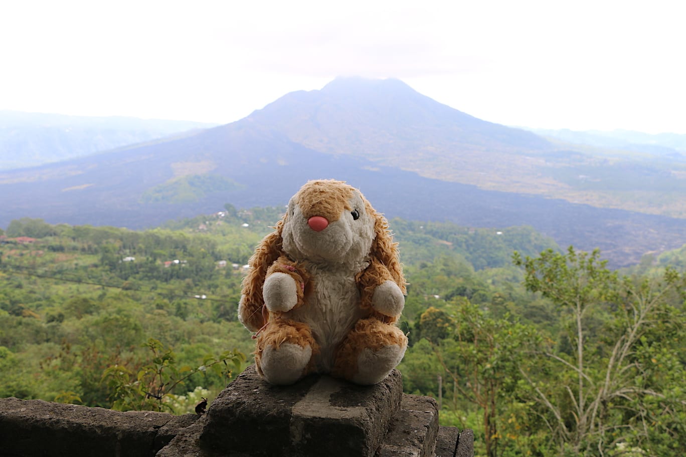 Mount Batur Bunny enjoying Mount Batur view