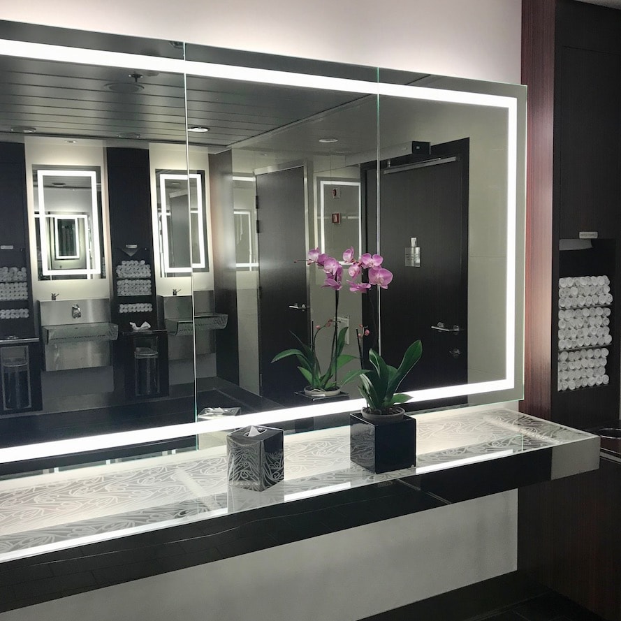 Public bathroom Celebrity Silhouette elegance