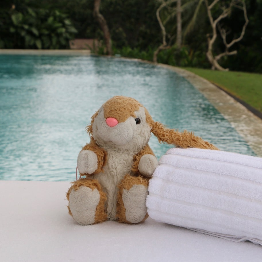 Relaxing Bunny by the pool