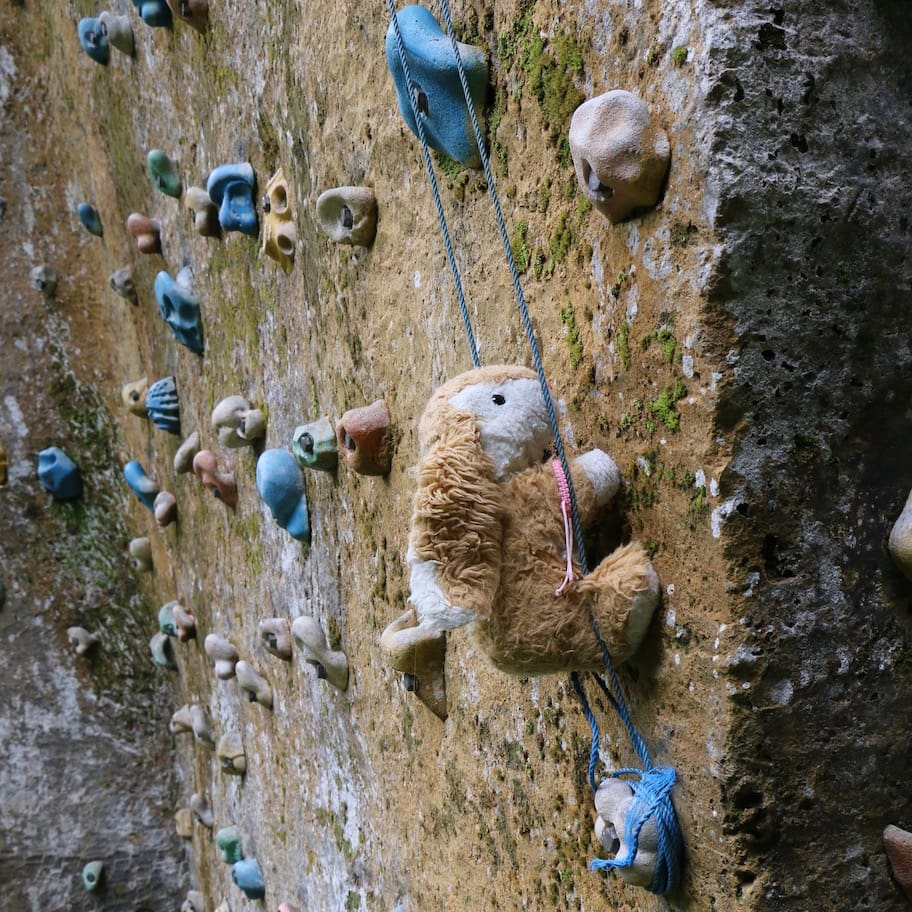 Rock climbing Bunny trying rock climbing