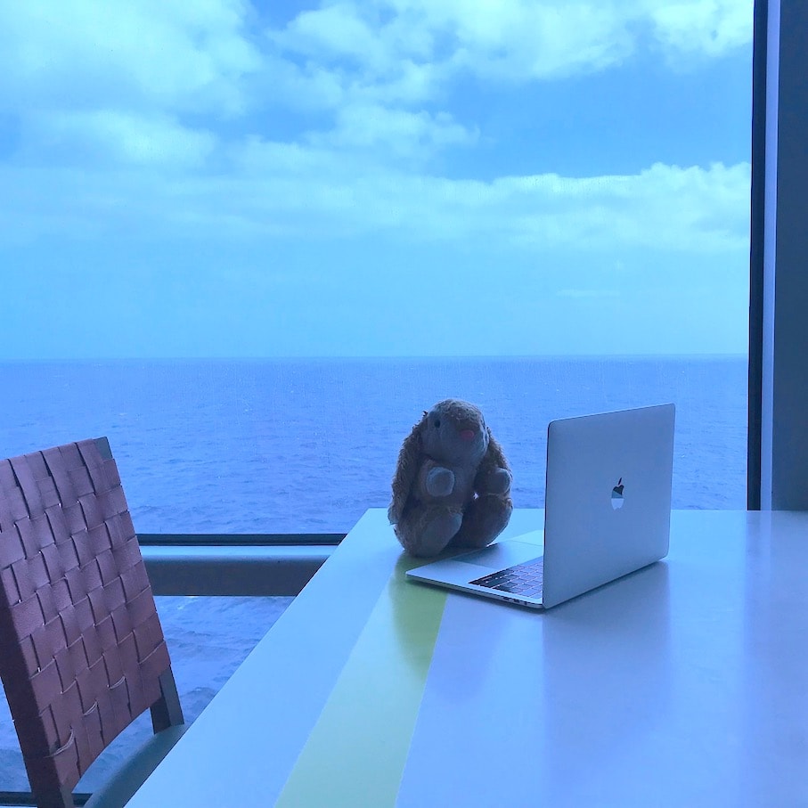 Working at sea Bunny's Oceanview cafe workstation