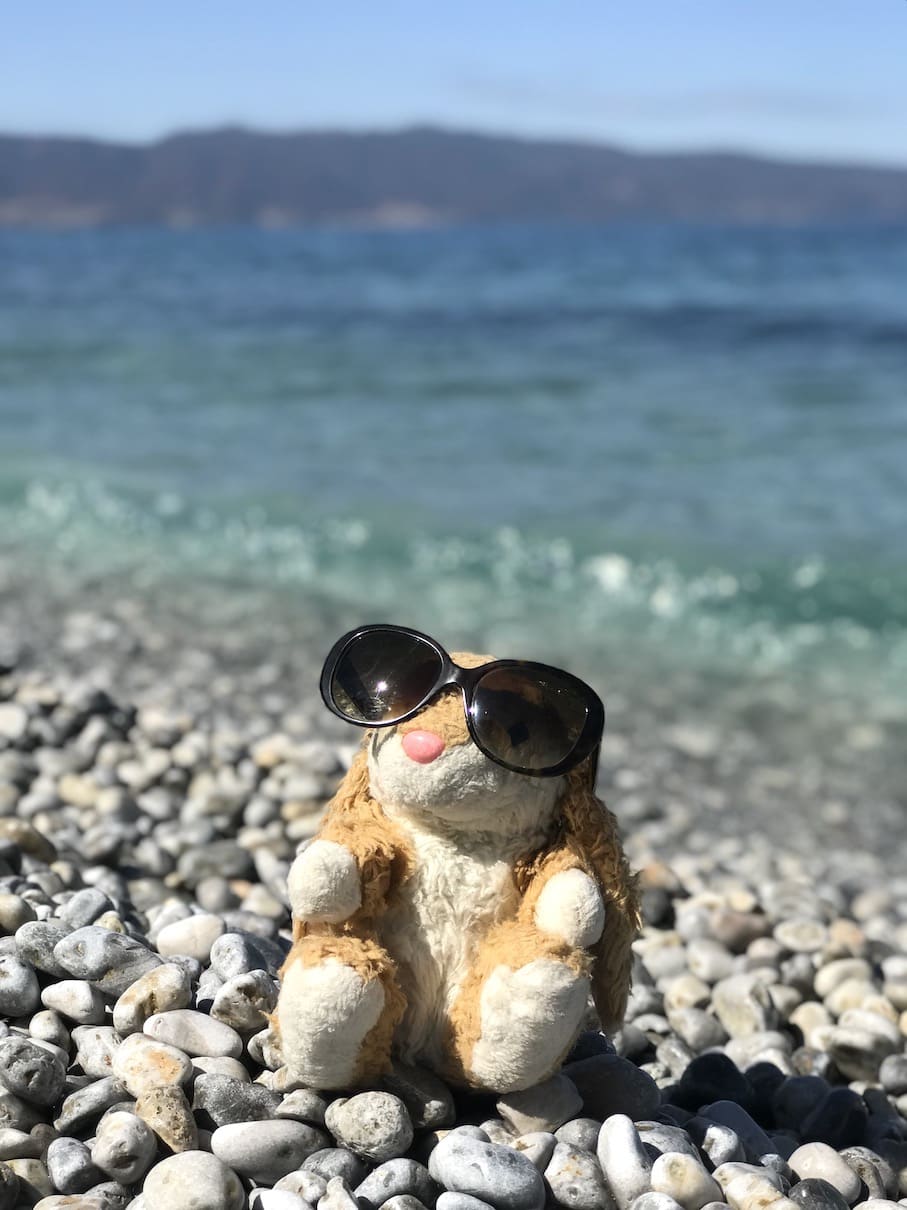 Beaching at Ohrid Bunny on the beach