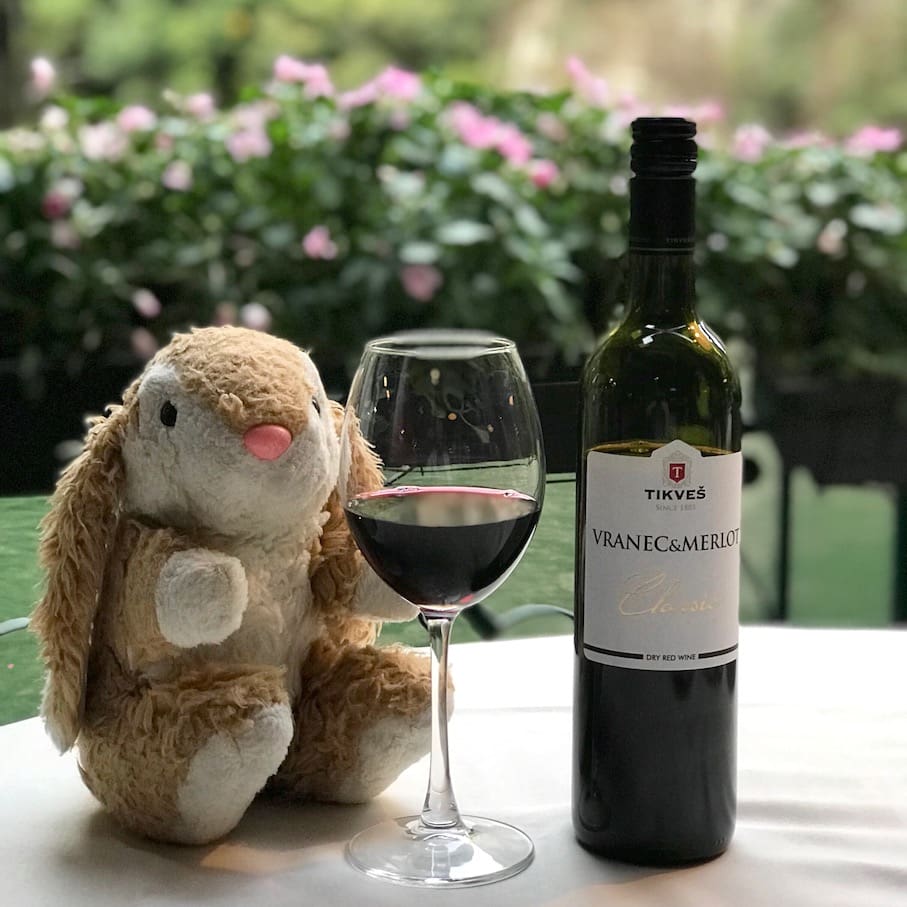 Macedonian wine Bunny wine tasting