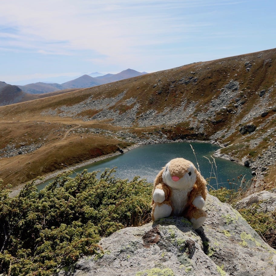 Hiking in Pelister Bunny in Pelister National Park