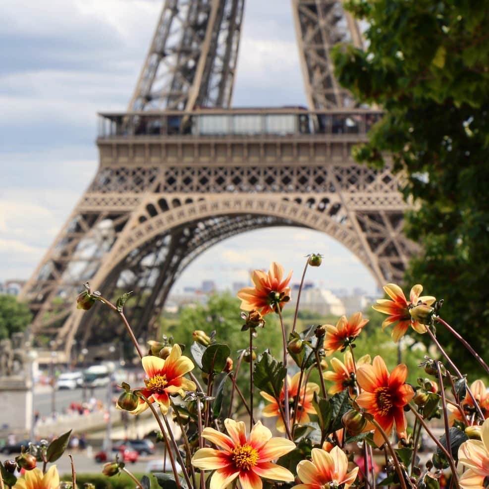 Paris Iconic Eiffel Tower