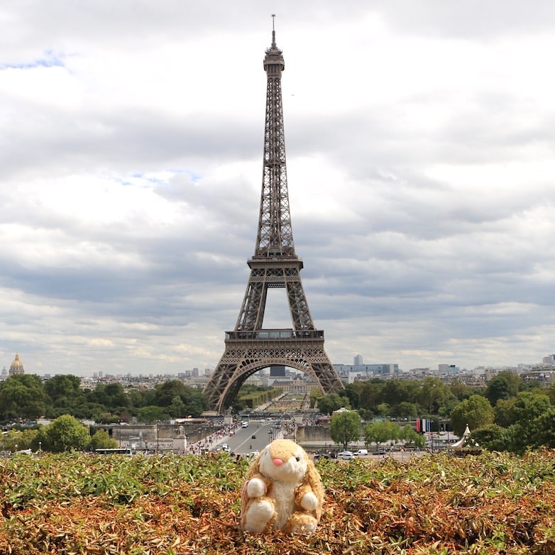Bunny at Eiffel Posing with iconic landmark