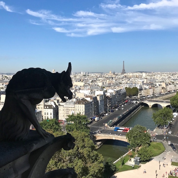 Notre Dame gargoyle Iconic Paris view