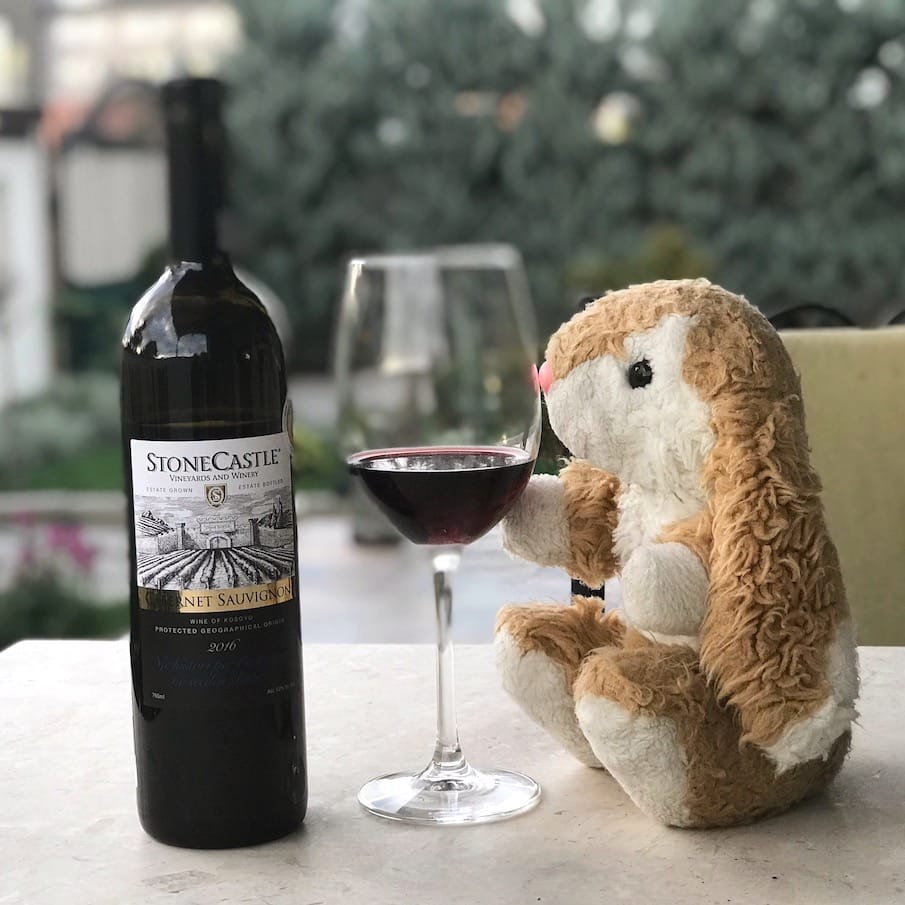 Kosovo wine Bunny wine-tasting