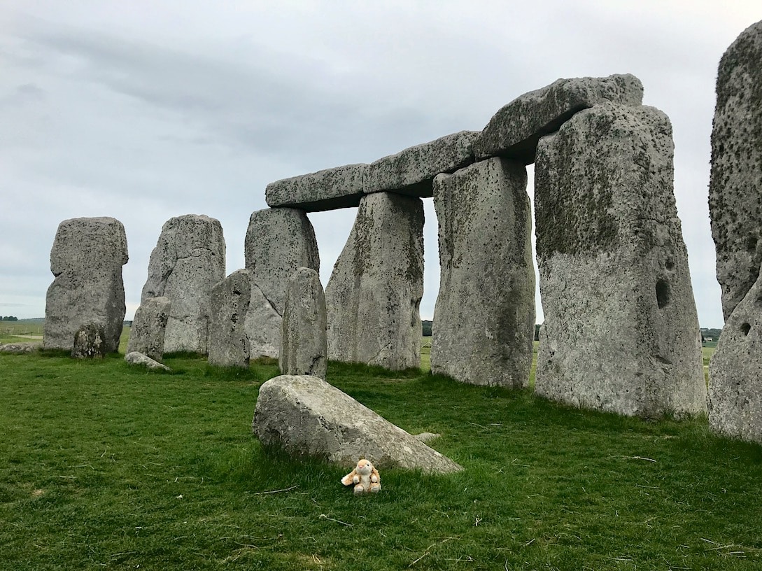 Bunny at Stonehenge Stone Circle access at Stonehenge