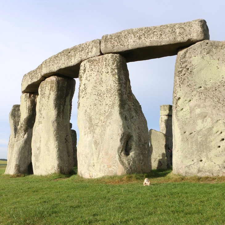 Stonehenge Bunny at Stonehenge