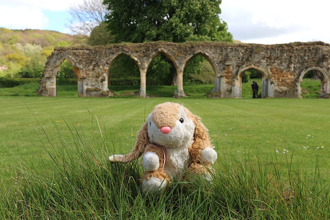 Bunny in Cotswolds Enjoying Cotswolds