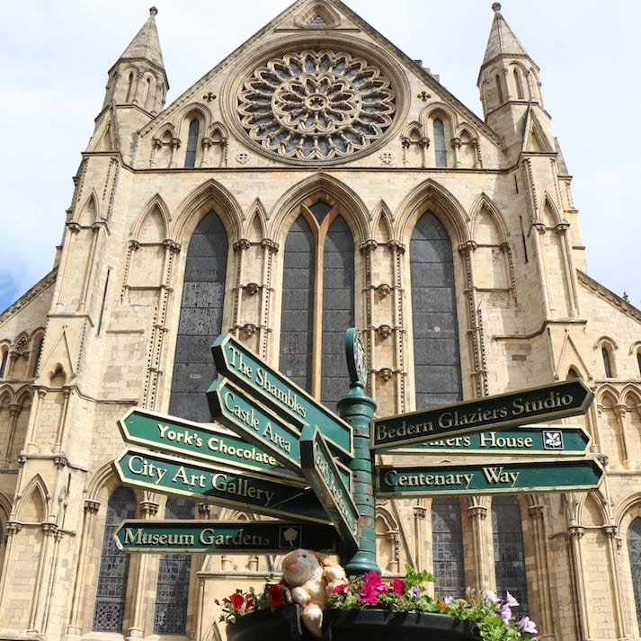 Bunny in York York Abbey