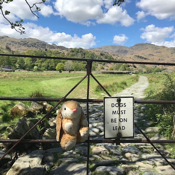 Grasmere Hiking in the Lake District