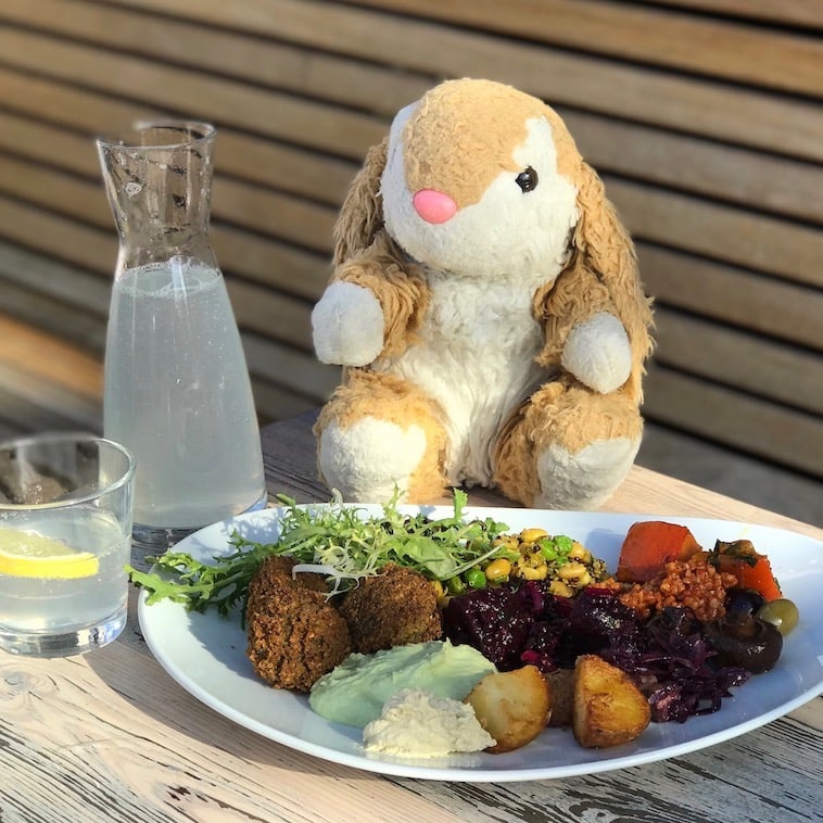 Bunny at Yamm Yamm lunch