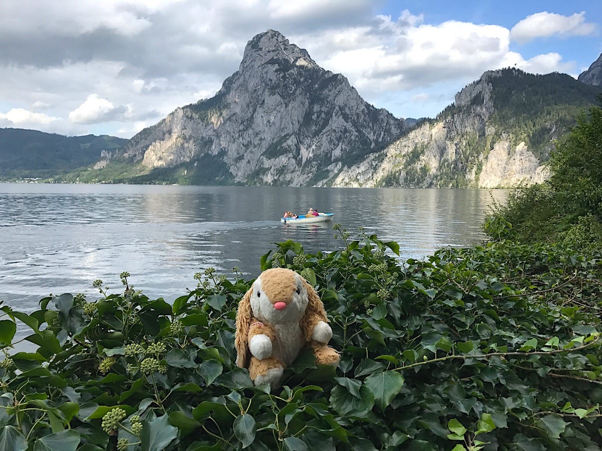 Bunny at Traunsee Hopping around