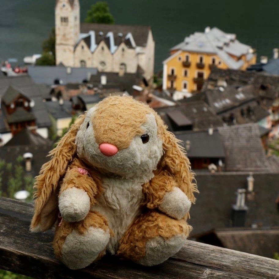 Bunny in Hallstatt Exploring Hallstatt