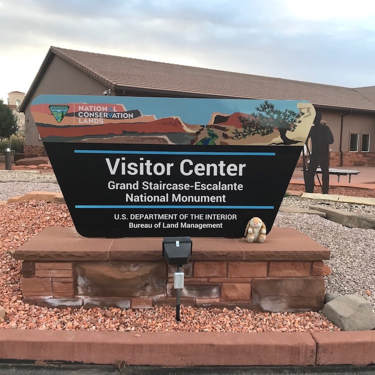 BLM Visitor Center Bunny before the lottery