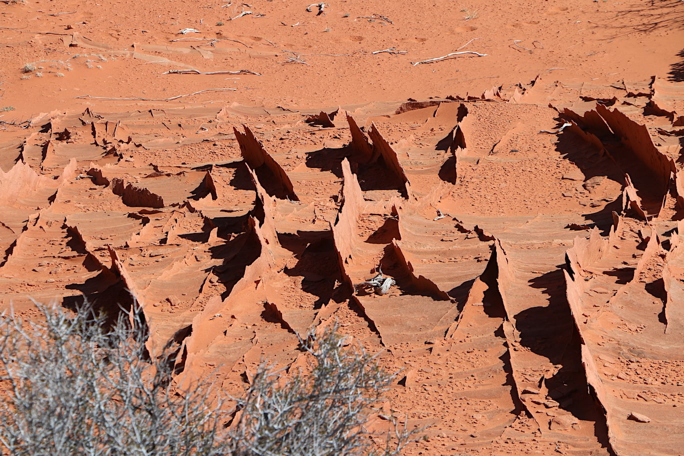 Fins Special sand formations