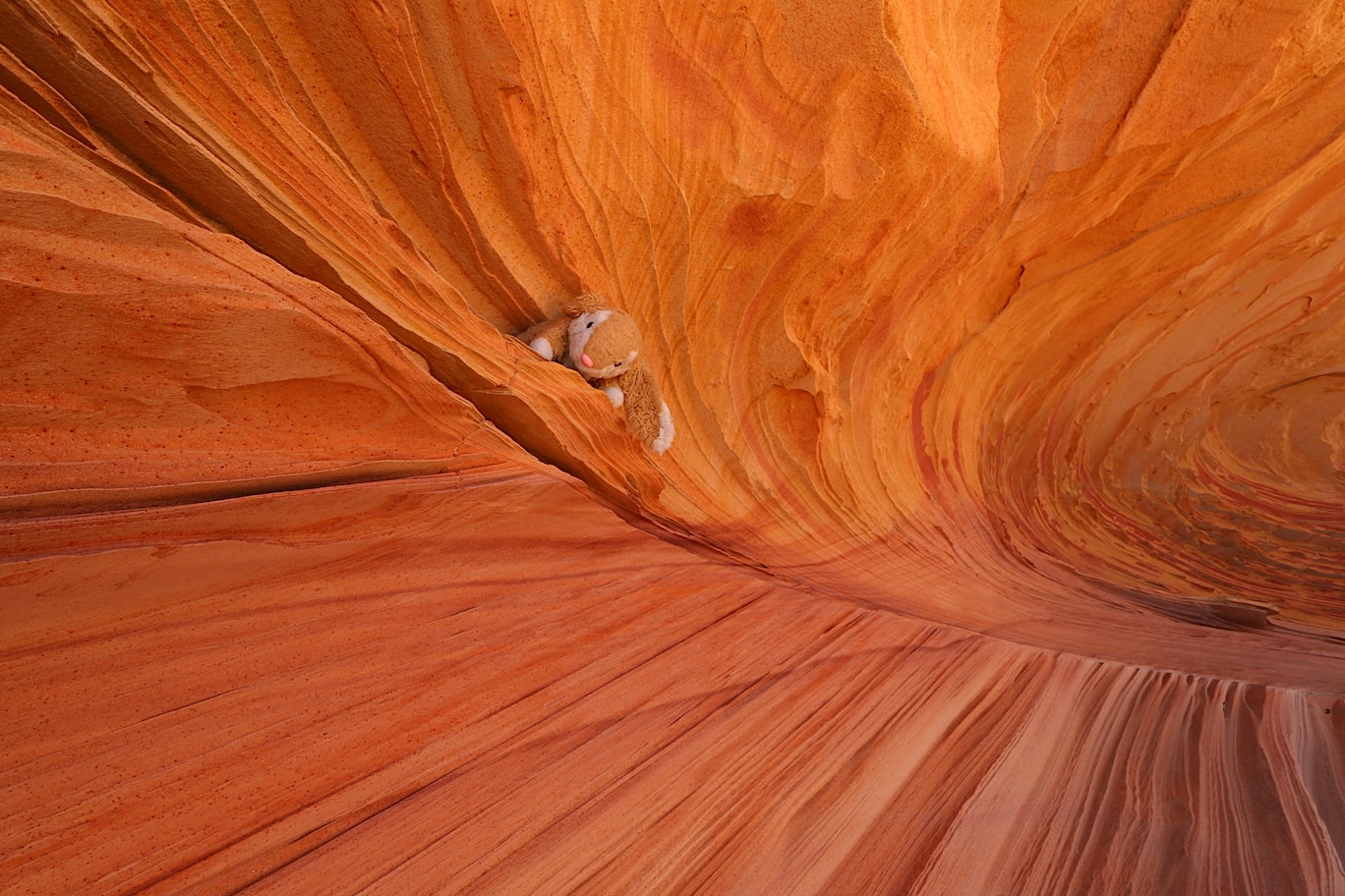 Lost in the wave South Coyote Buttes
