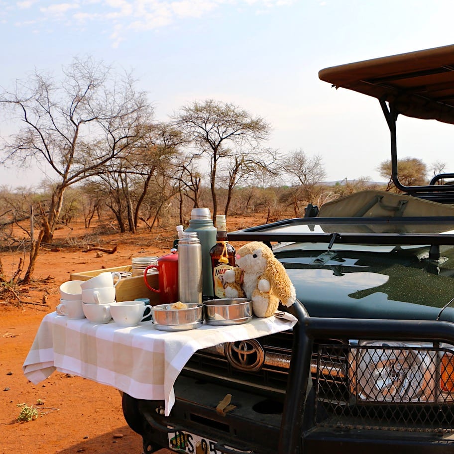 Game drive Bunny style in Africa