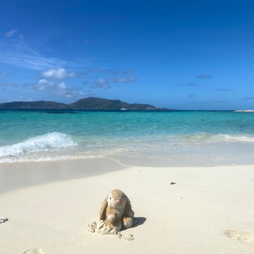 Bunny in Mopion Enjoying peace and quiet