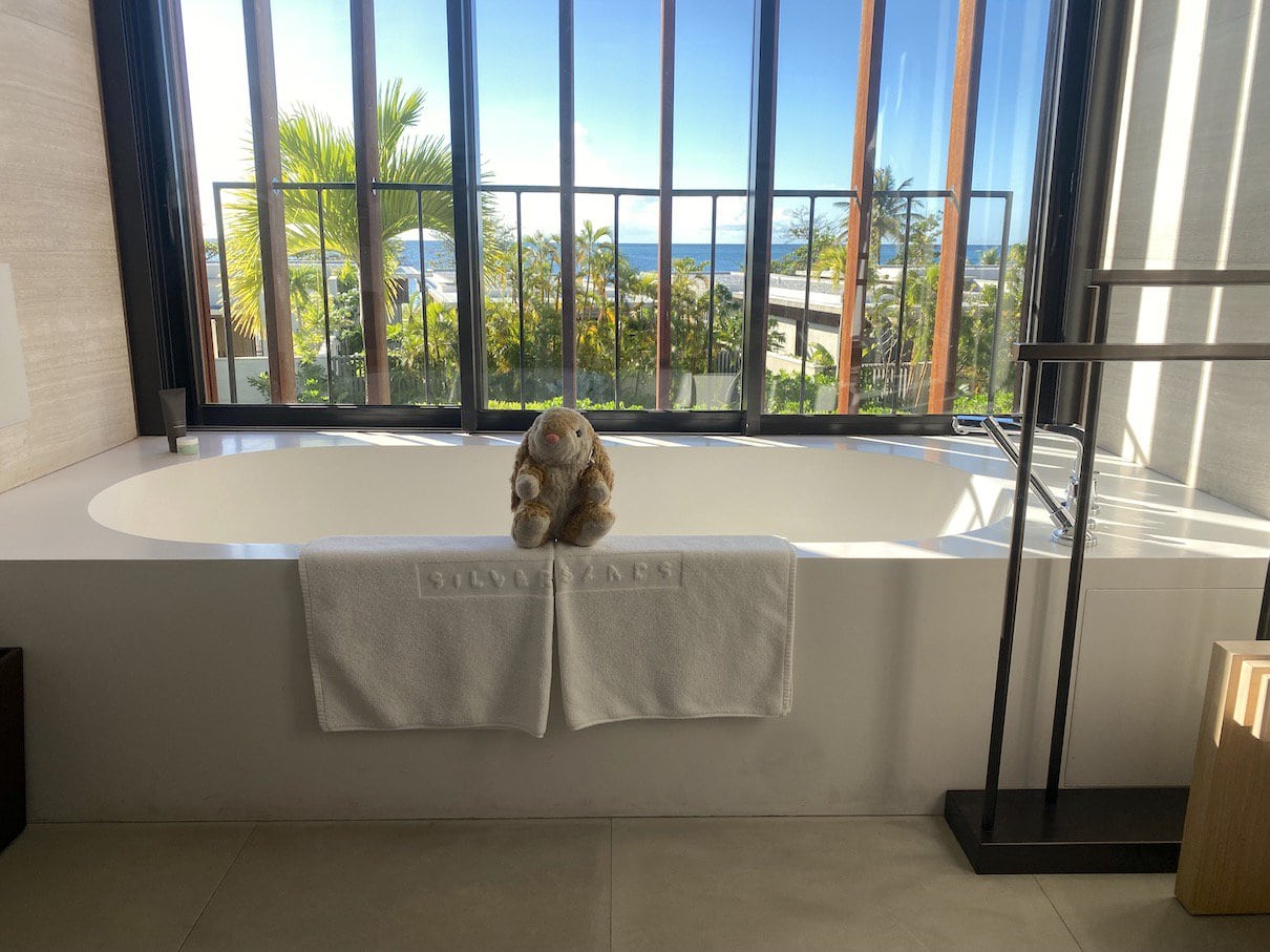 Bathtub with a view Bunny loved her room