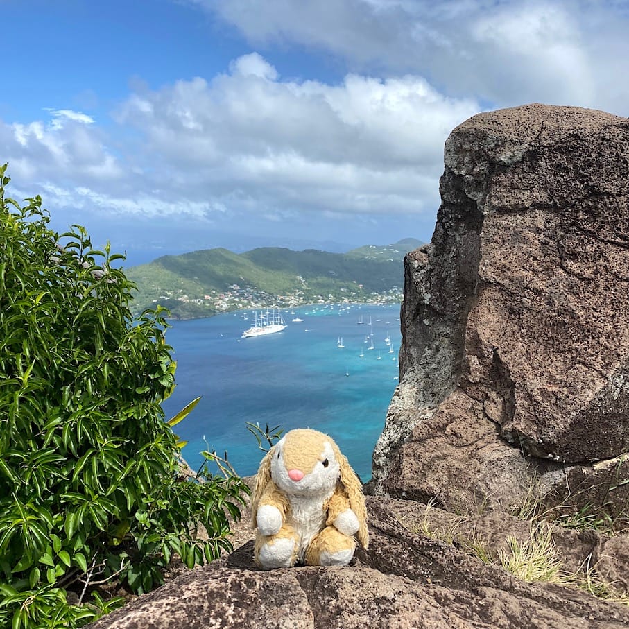 Bunny on Ma Peggy The best hike in Bequia