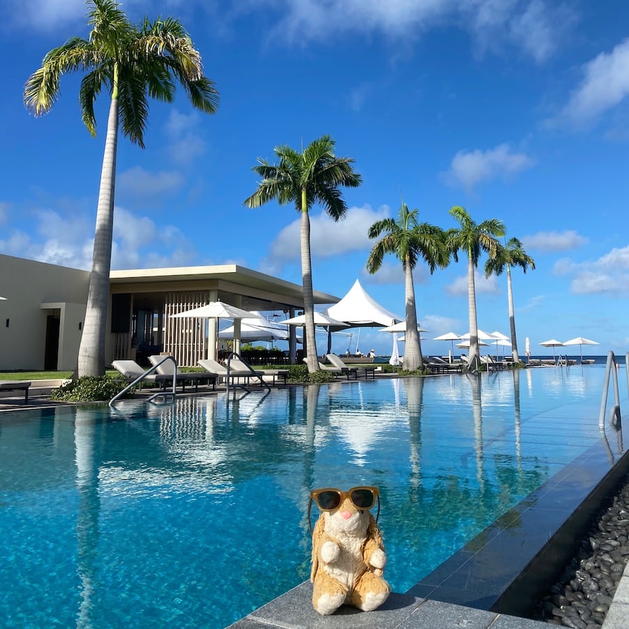Pool Bunny Lounging by the pool