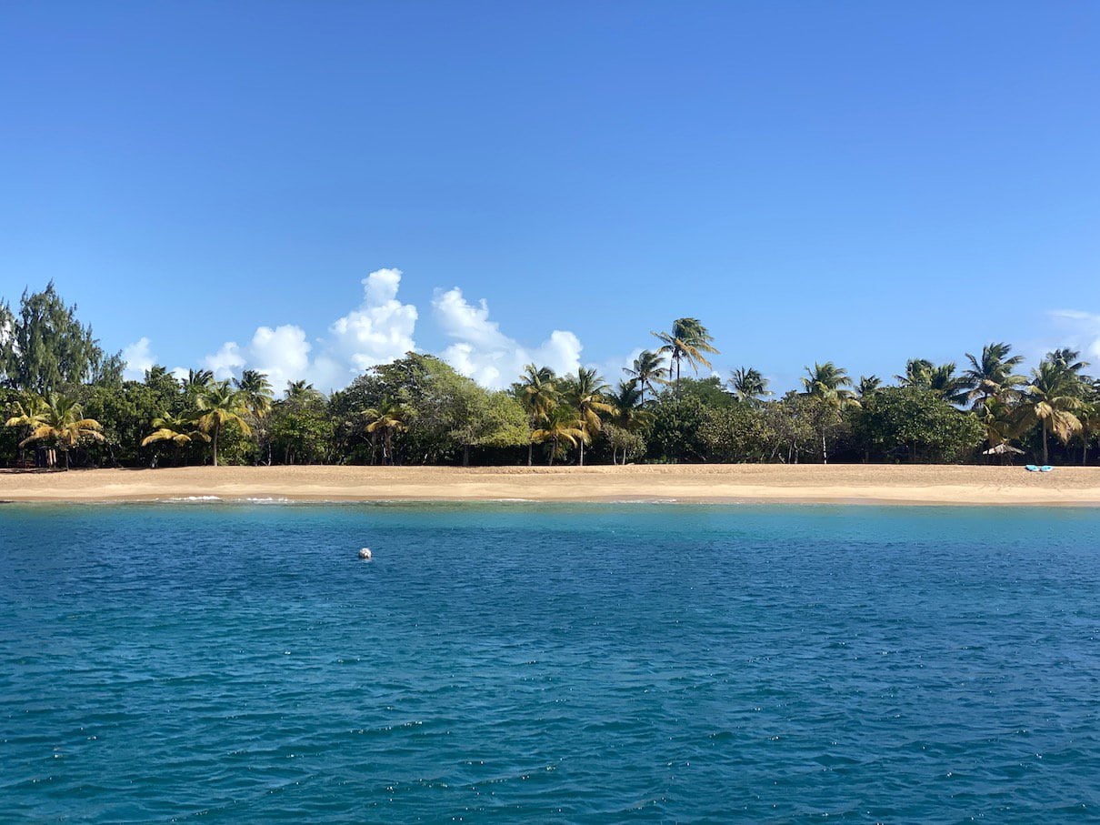 Saline Beach Beautiful beach in Mayreau