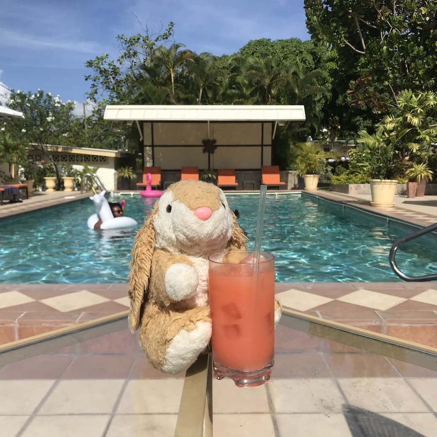 Blue Horizons pool Bunny by the Blue Horizons pool