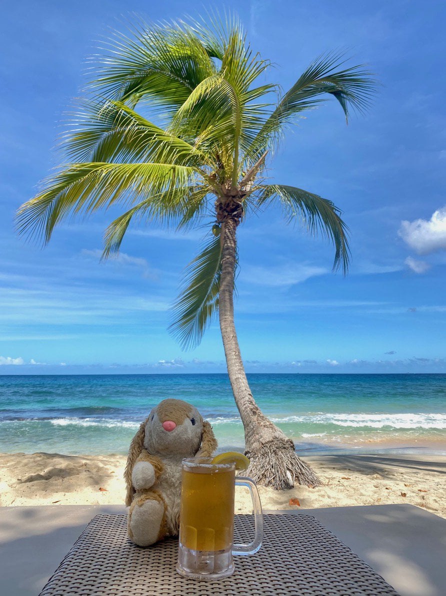 Bunny at Royalton Magazine Beach