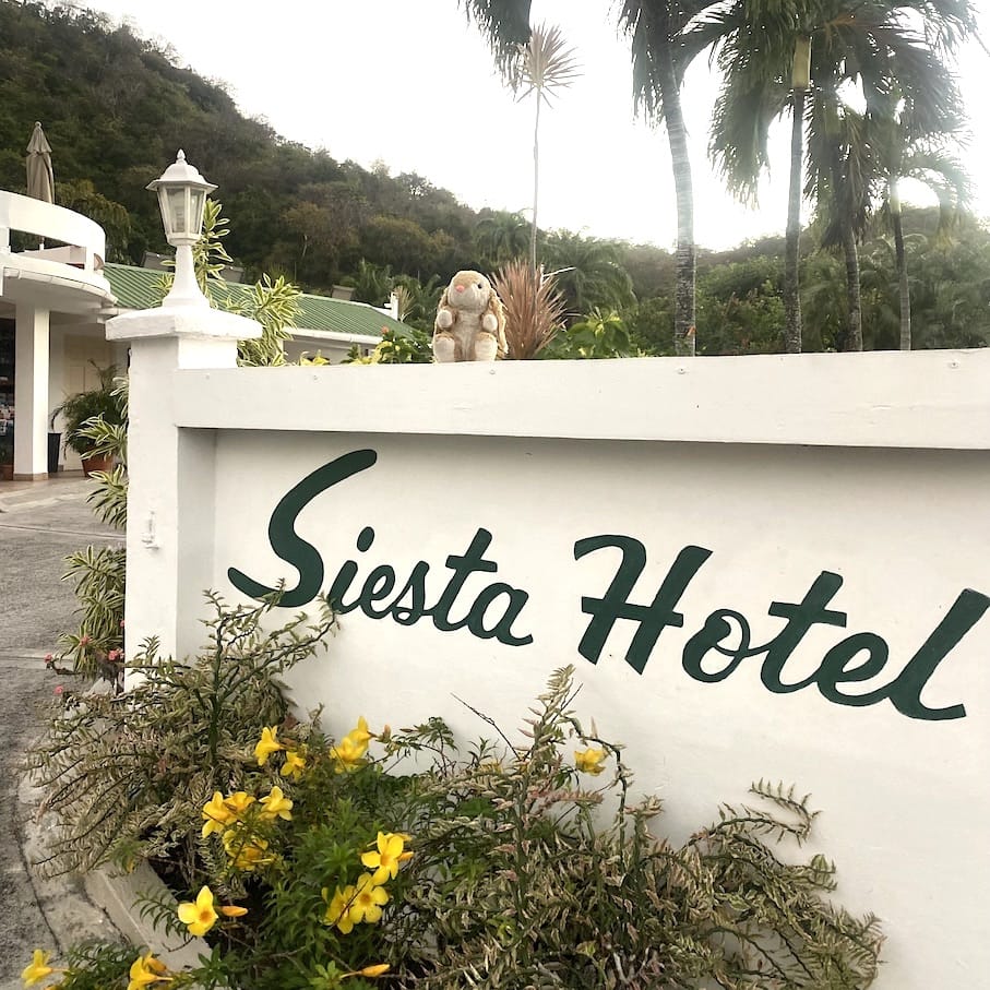 Bunny at Siesta Siesta hotel