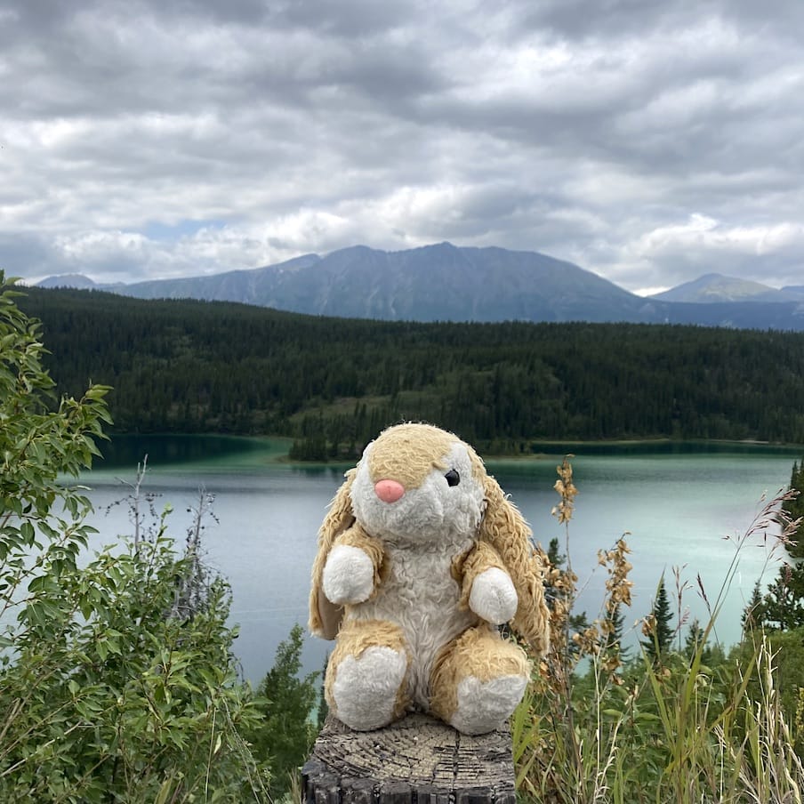 Bunny in BC, Canada Posing at Emerald Lake