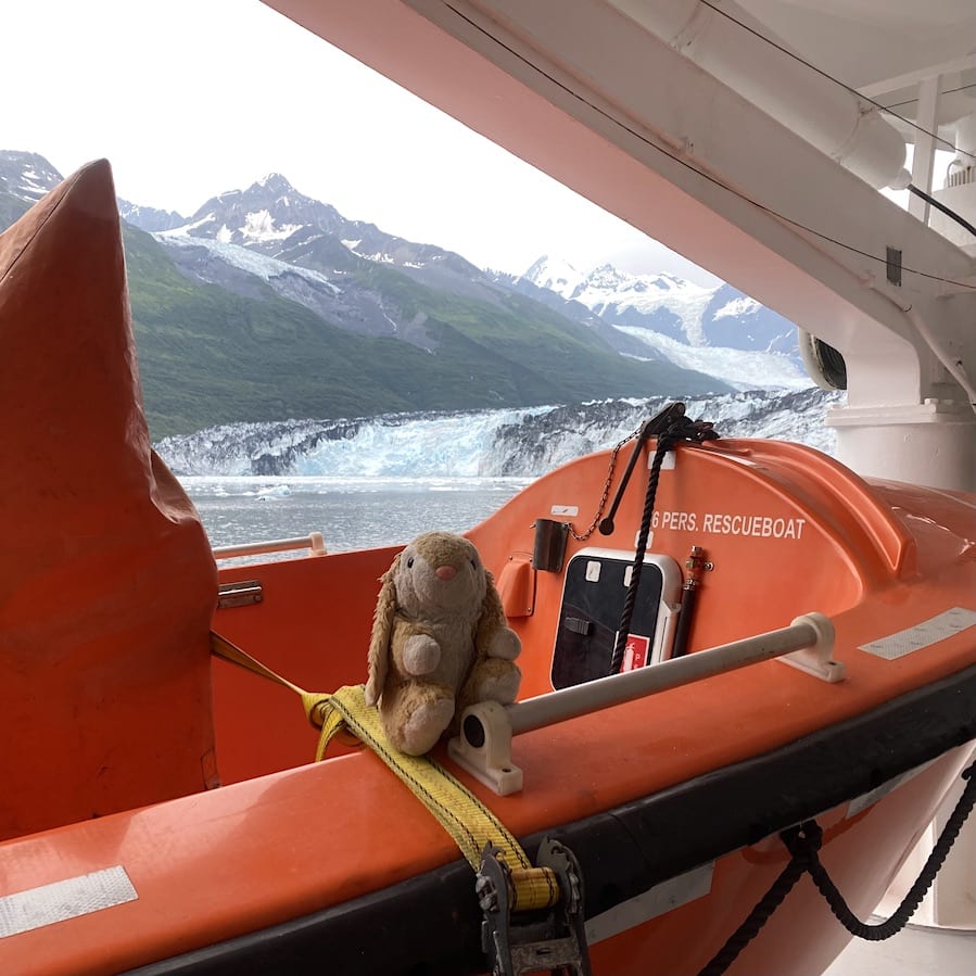 Bunny in College Fjord Cruising in College Fjord