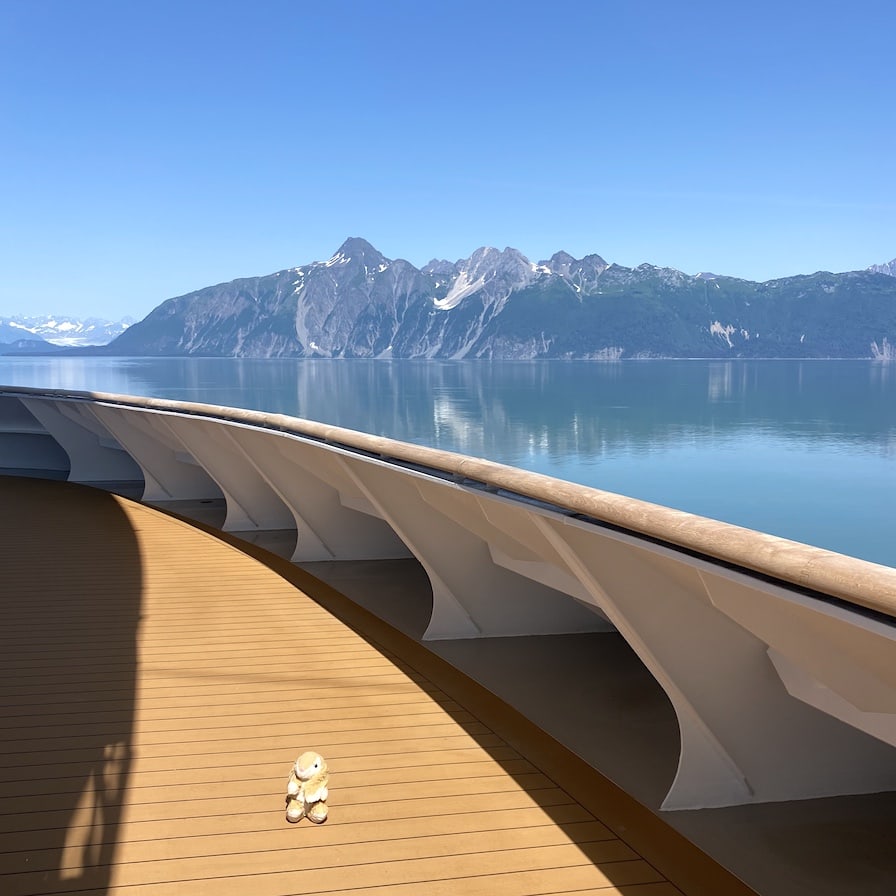 Bunny in Glacier Bay Cruising Glacier Bay