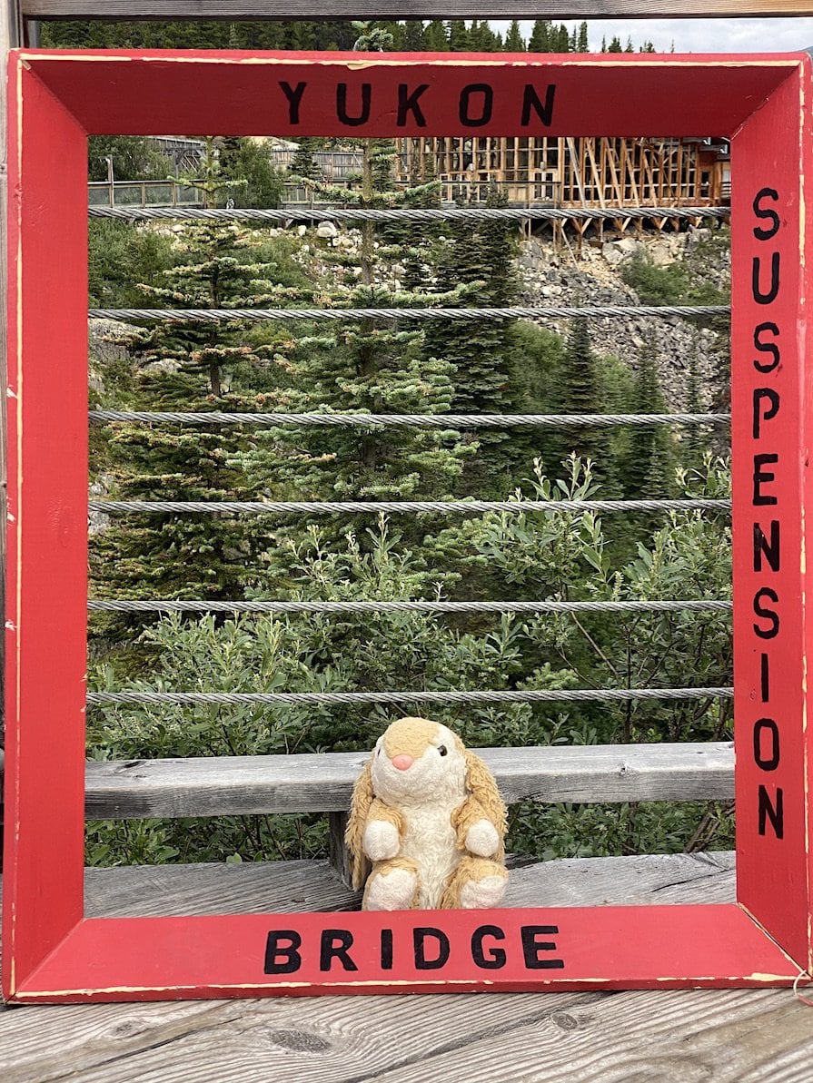 Bunny posing in Yukon Yukon Suspension Bridge