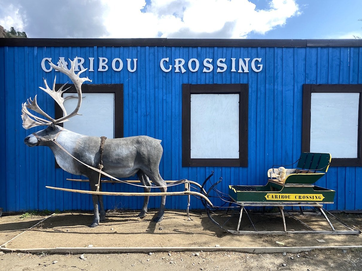 Caribou Crossing Yukon, Canada